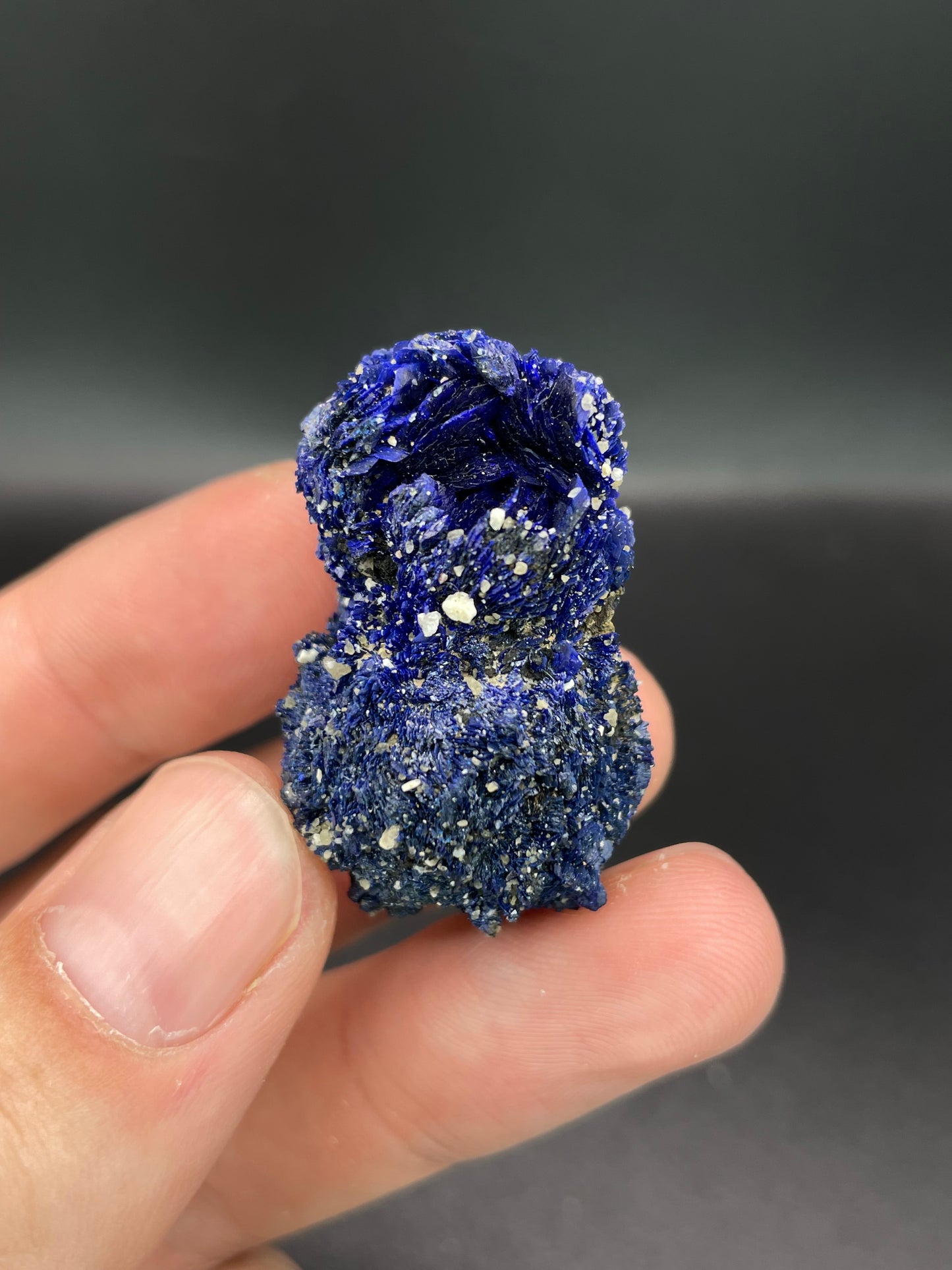 Azurite, Chessy-les-Mines, Rhone, Rhone-Alpes, France