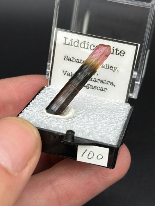 Liddicoatite, Sahatany Valley, Ibity, Vakinankaratra, Madagascar