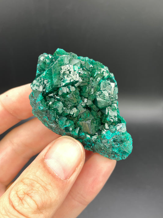 Dioptase, Tantara Mine, Haut-Katanga, DR Congo
