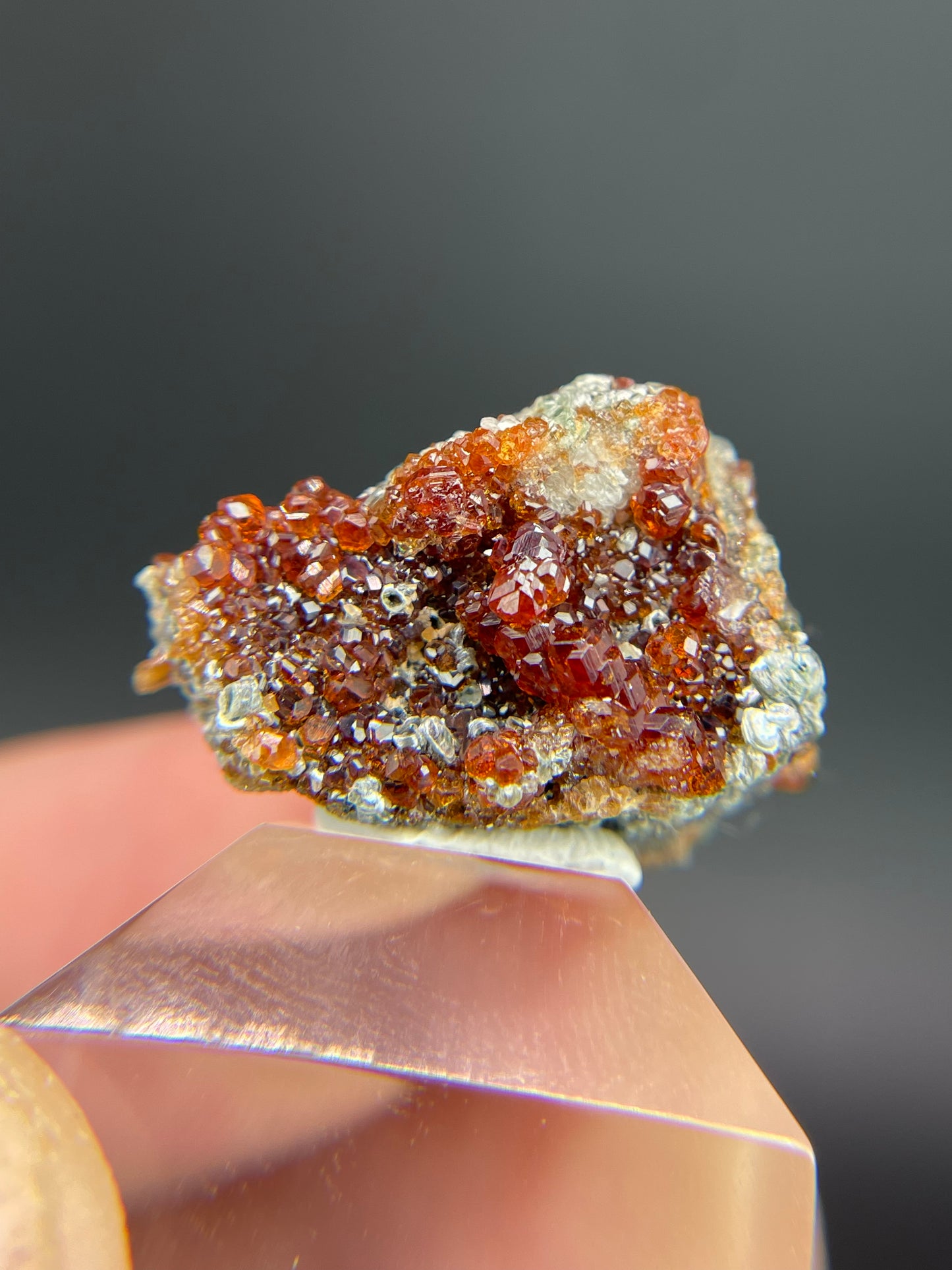 Hessonite garnet, Clinochlore, Valle d'Aosta, Italy