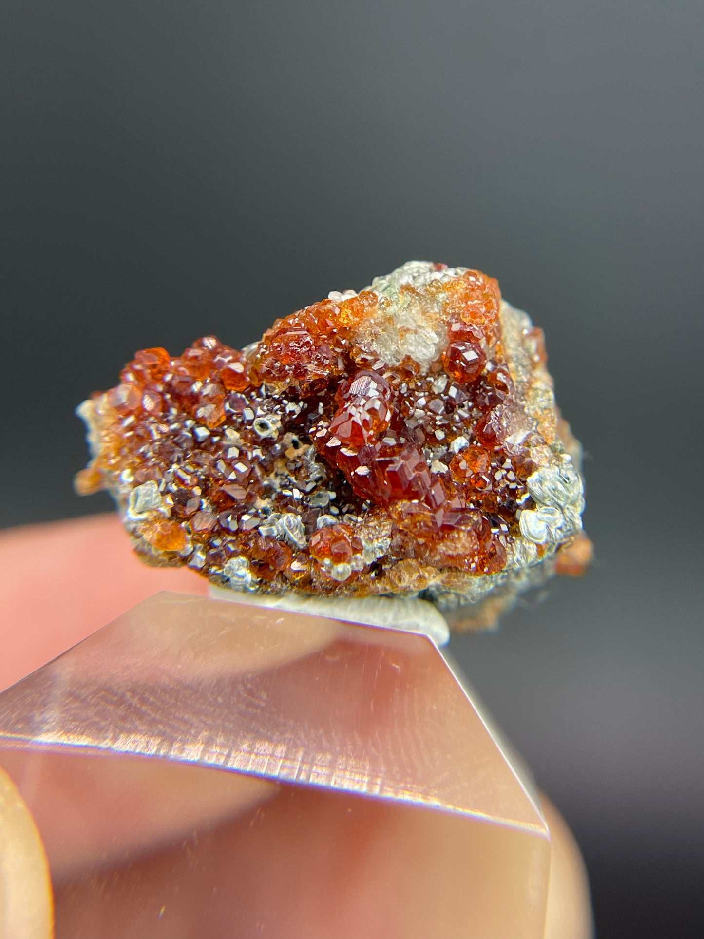 Hessonite garnet, Clinochlore, Valle d'Aosta, Italy