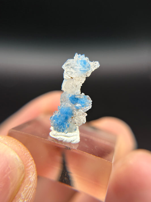 Shattuckite in Quartz, Kunene Region, Namibia