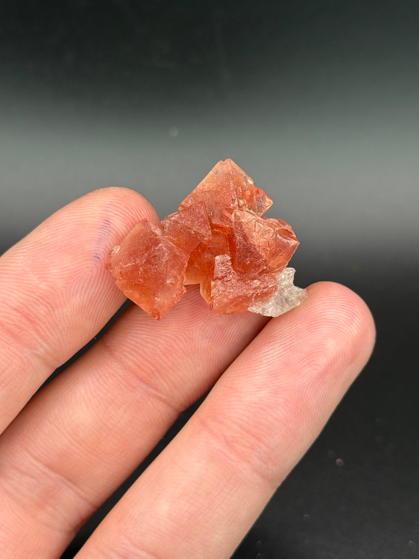 Fluorite, Point Kurtz, Chamonix, Mont Blanc, France