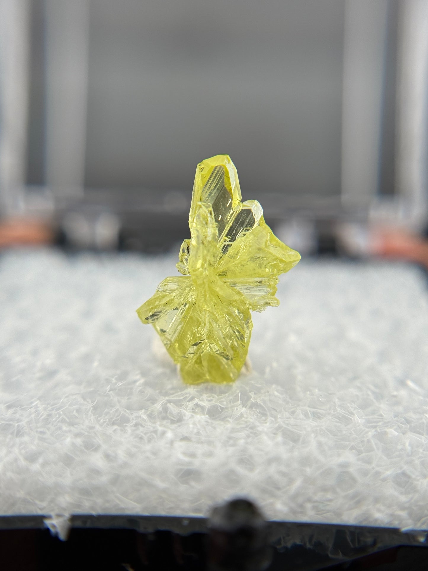 Chrysoberyl, Lac Alaotra, Madagascar