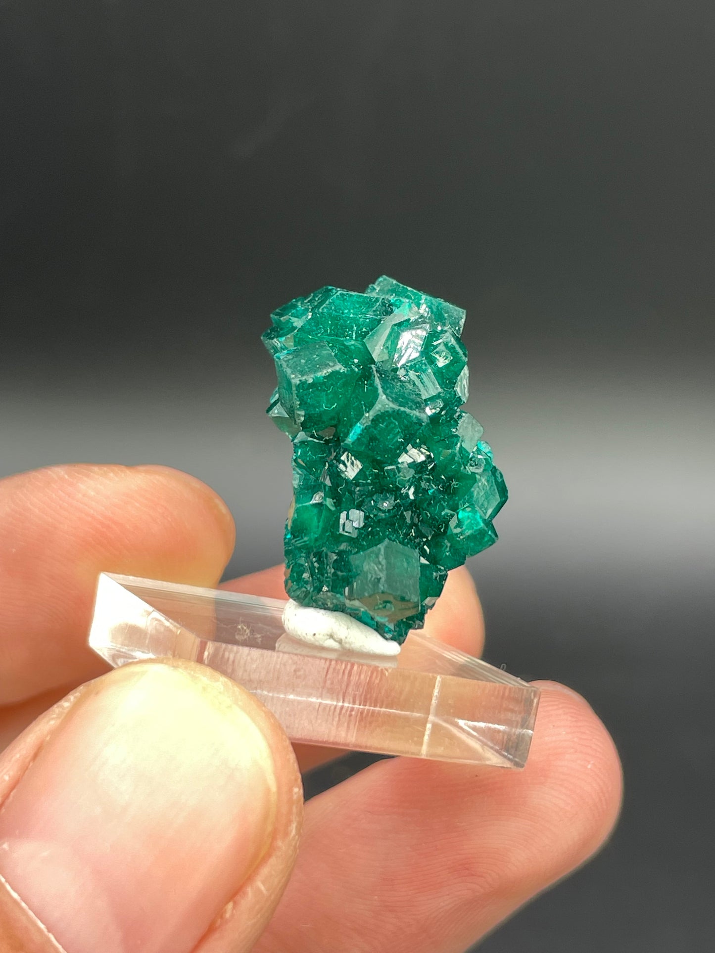 Dioptase, Tantara Mine, Haut-Katanga, DR Congo