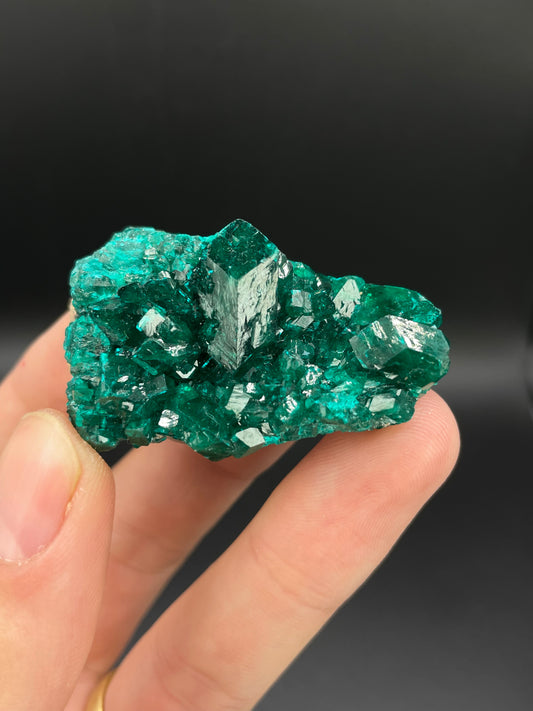 Dioptase, Tantara Mine, Haut-Katanga, DR Congo