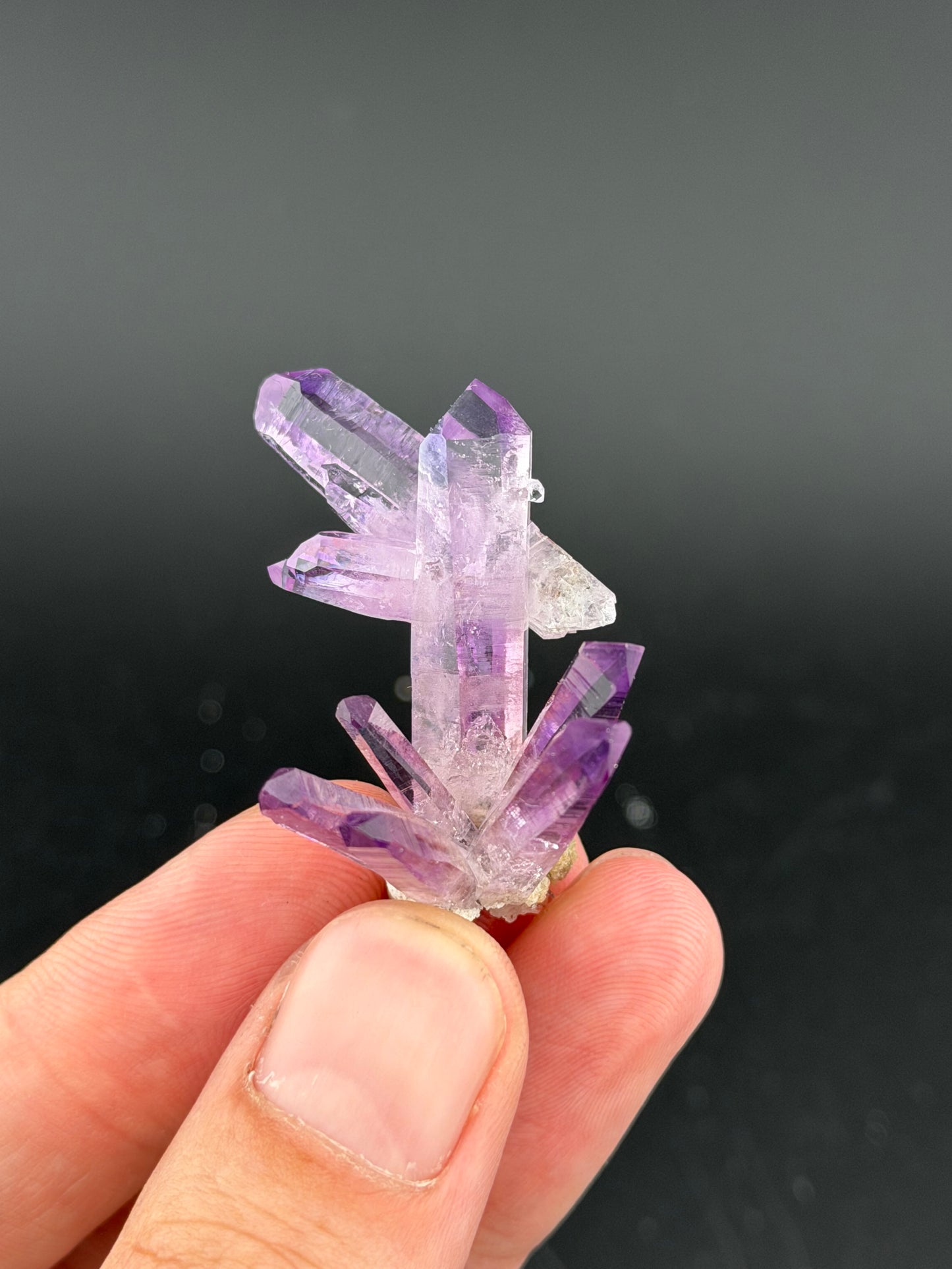 Amethyst, Las Vigas, Veracruz, Mexico