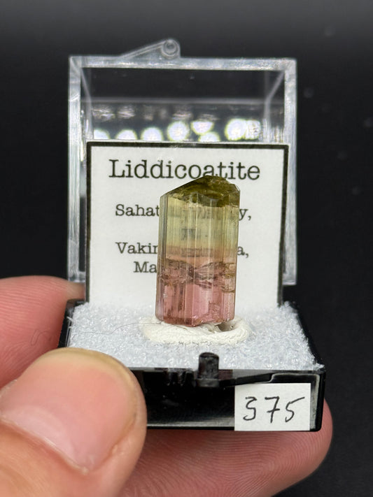 Liddicoatite, Sahatany Valley, Ibity, Vakinankaratra, Madagascar