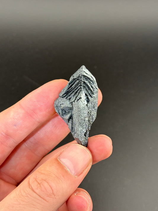 Hematite pseudomorph after Magnetite , Payún Matrú Volcano, Agua Escondida Dist., Malargüe Dept., Mendoza Prov., Argentina