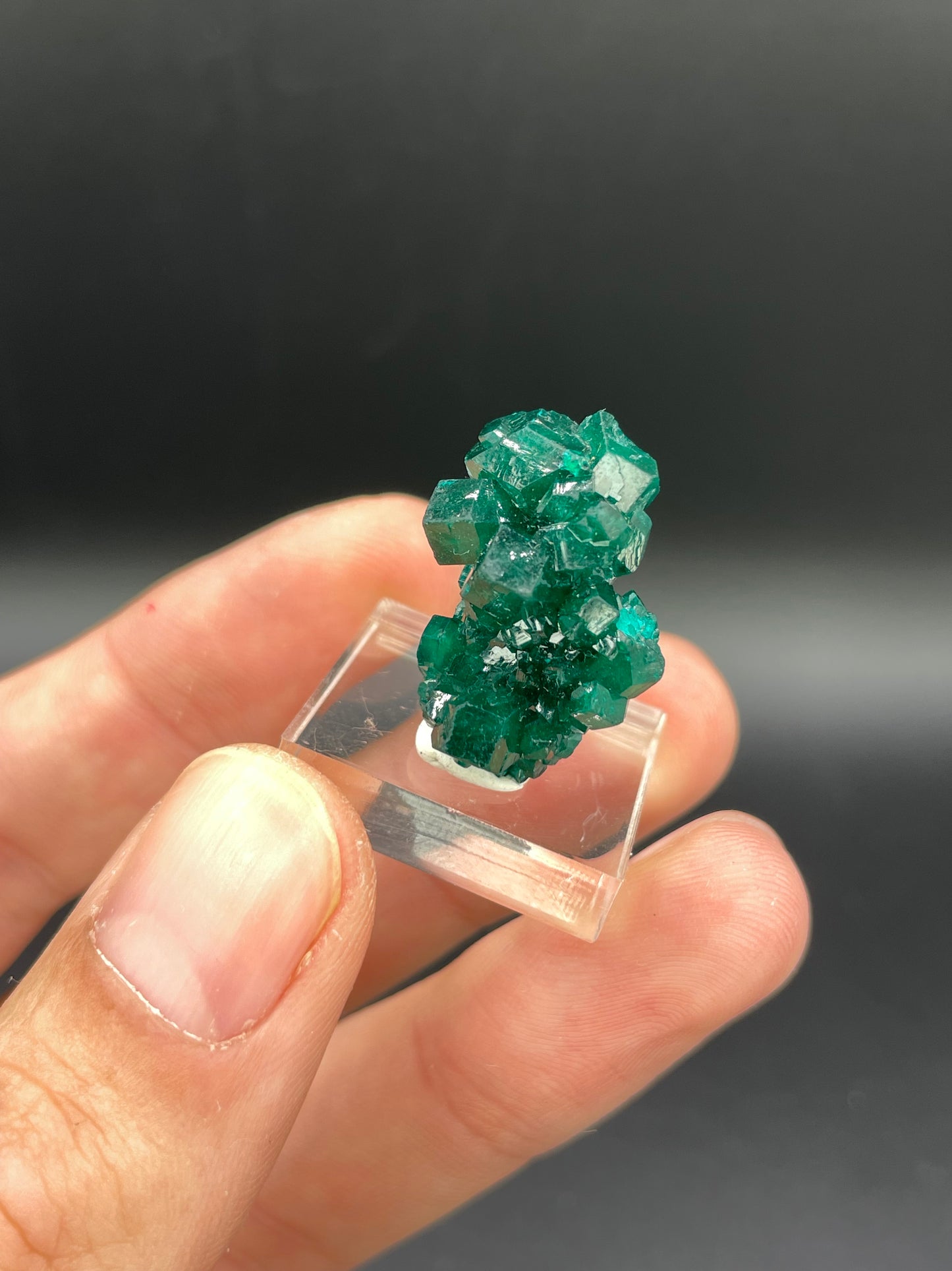 Dioptase, Tantara Mine, Haut-Katanga, DR Congo