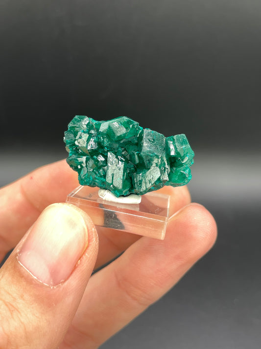 Dioptase, Tantara Mine, Haut-Katanga, DR Congo