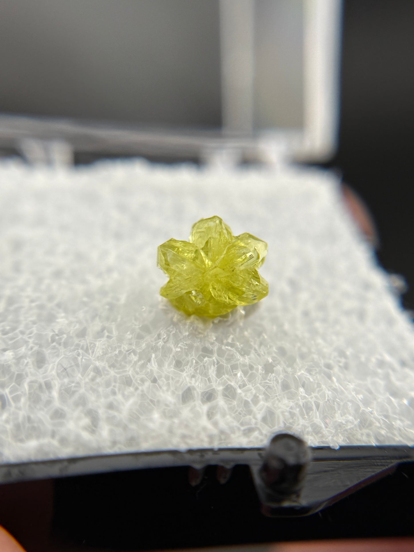 Chrysoberyl, Lac Alaotra, Madagascar