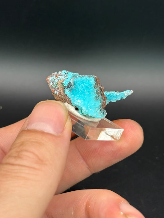 Quartz and Malachite on Chrysocolla Pseudomorph after Baryte, Lupoto Mine, Kakumba, Kipushi Territory, Haut-Katanga, DR Congo