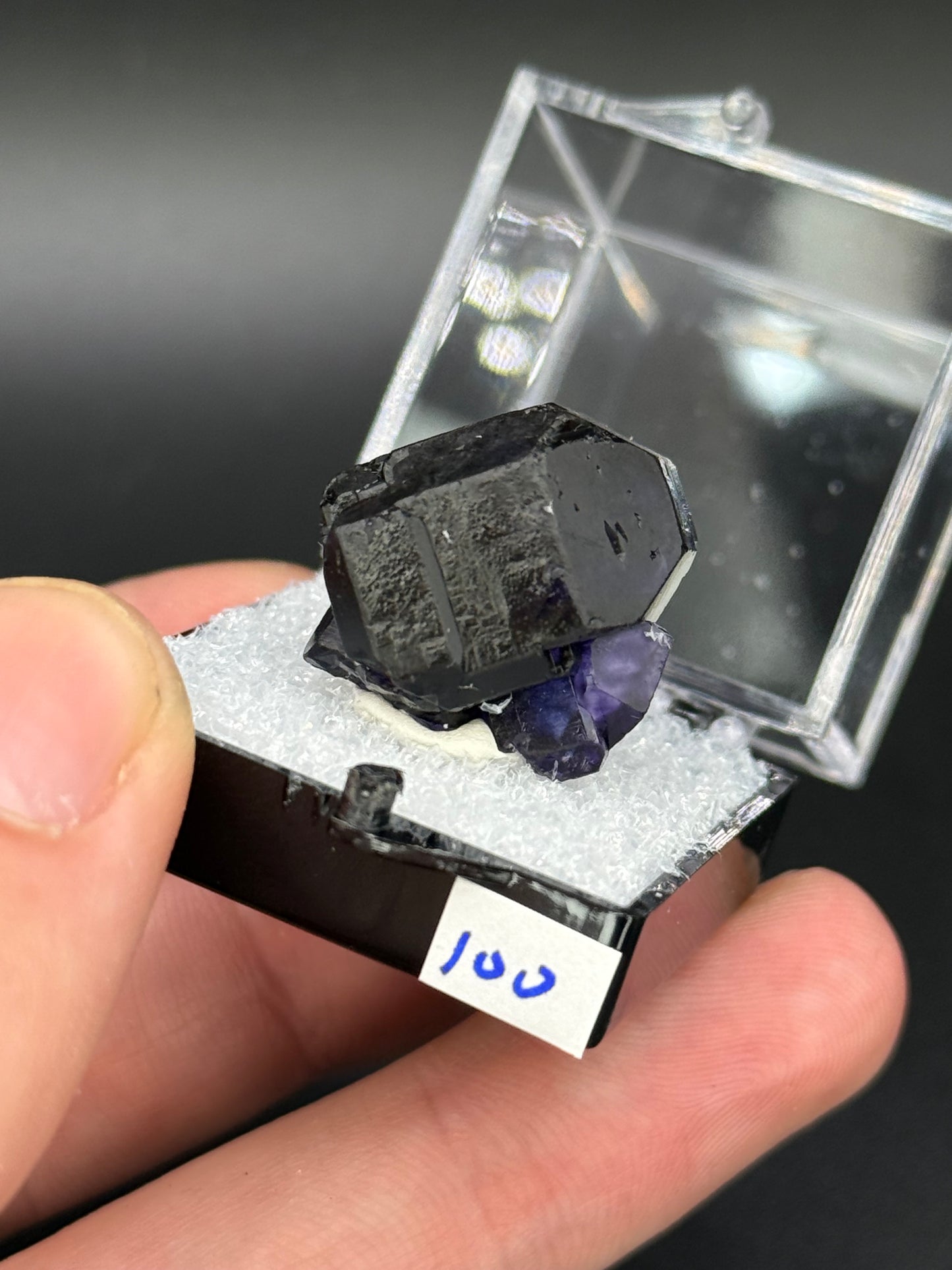 Fluorite, Mandinga Mine, Laguna Brava, Loboy District, Unión Department, Córdoba Province, Argentina.