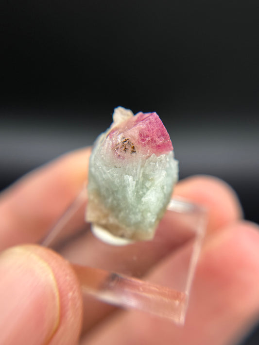 Pezzottaite on Microcline, Ambavaloza village, Antsirabe, Madagascar