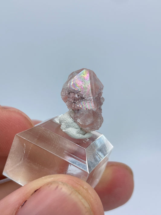 Pink Fluorite, Grimsel area, Bern, Switzerland