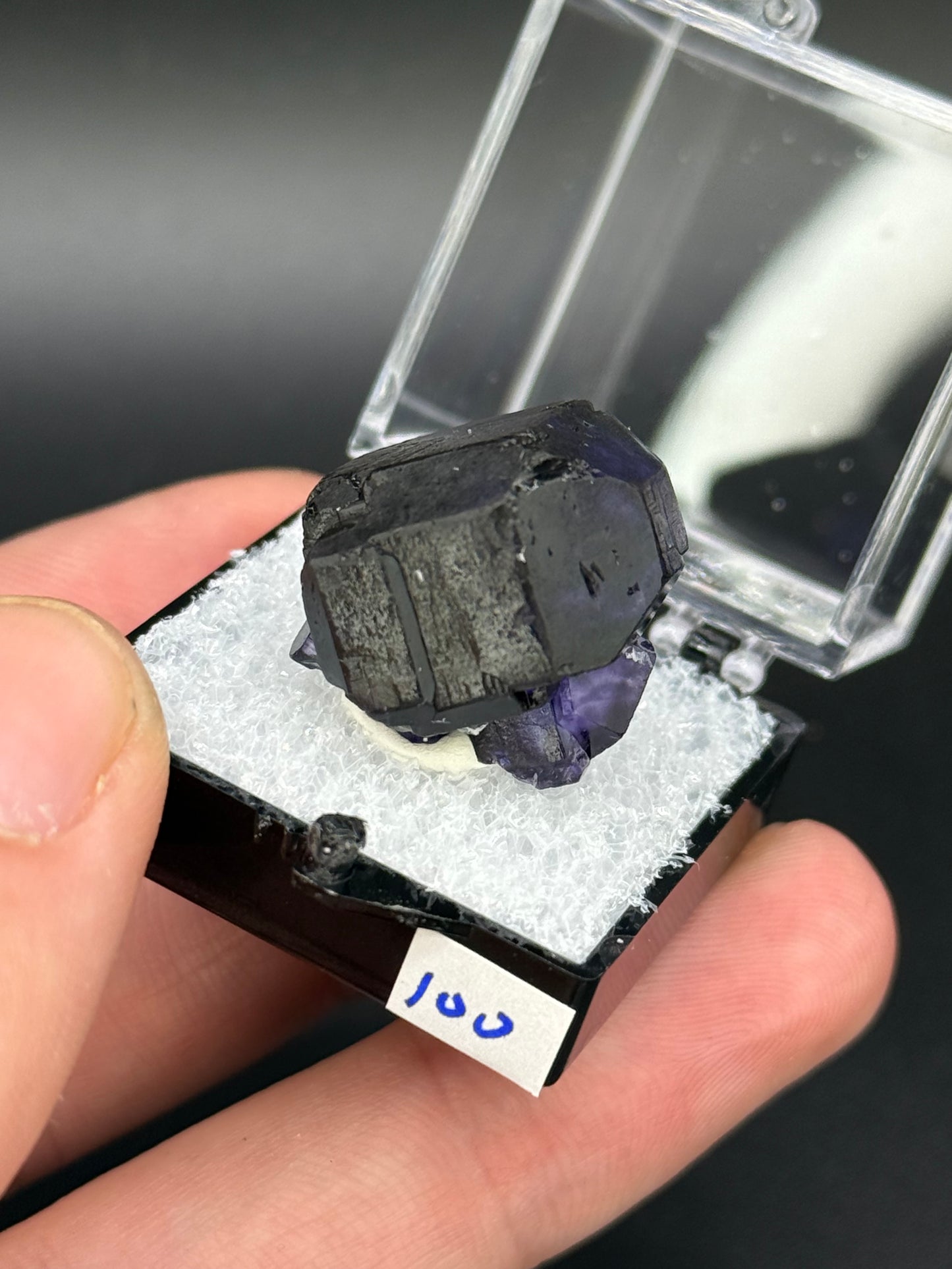 Fluorite, Mandinga Mine, Laguna Brava, Loboy District, Unión Department, Córdoba Province, Argentina.
