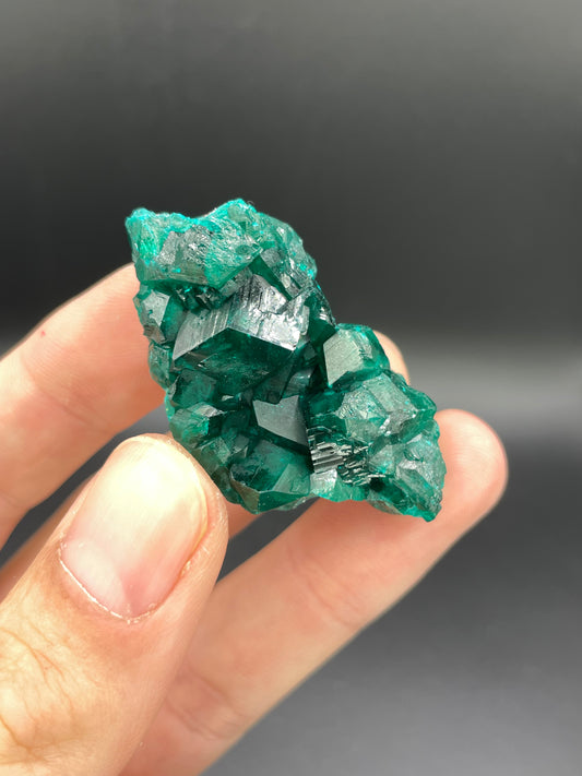 Dioptase, Tantara Mine, Haut-Katanga, DR Congo