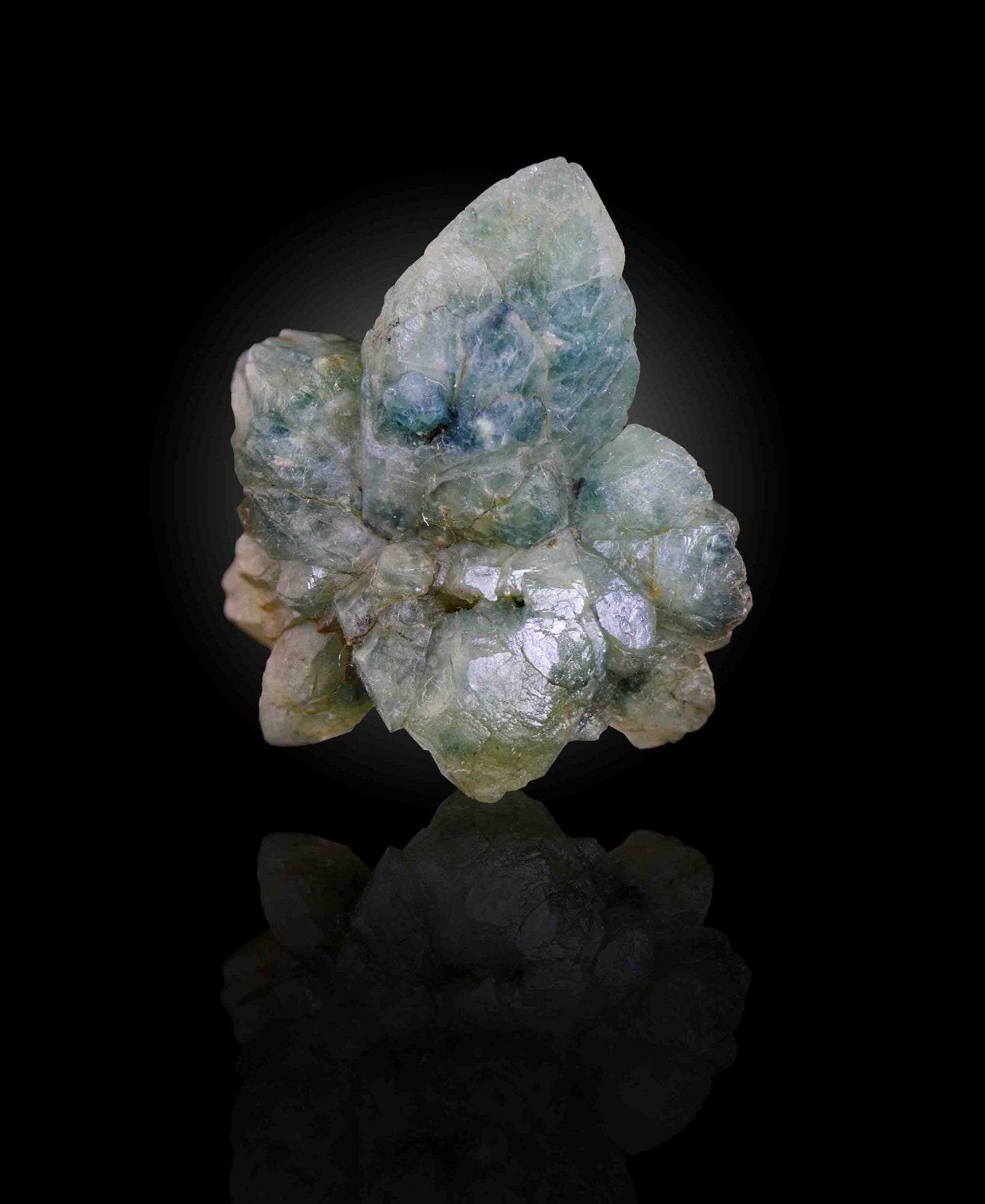 Actinolite in Quartz, Andilamena, Madagascar