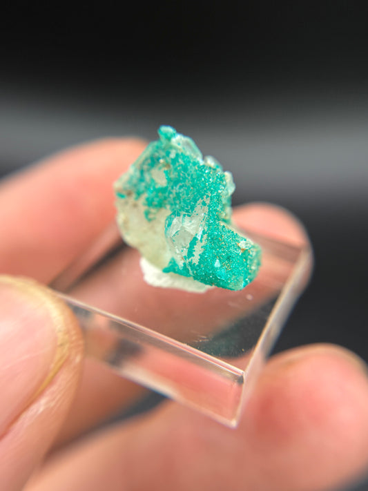 Dioptase and Quartz, Kunene Region, Namibia
