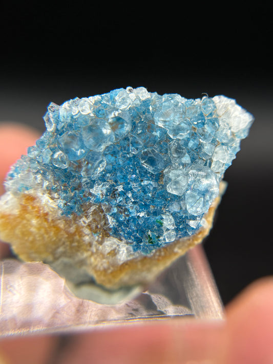 Shattuckite and Quartz, Kunene Region, Namibia