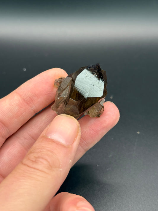 Smoky Quartz, Val Giuv, Tujetsch, Surselva Region, Grisons, Switzerland