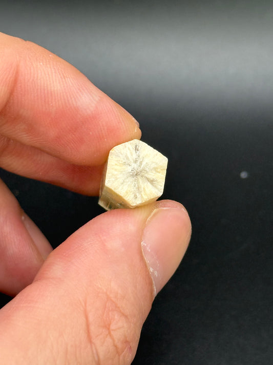 Phenakite, Anjanabonoina pegmatite, Mount Ikaka, Antananarivo Province, Madagascar