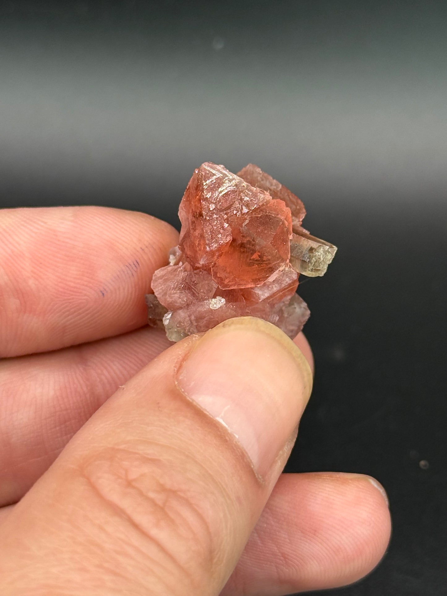 Fluorite, Point Kurtz, Chamonix, Mont Blanc, France