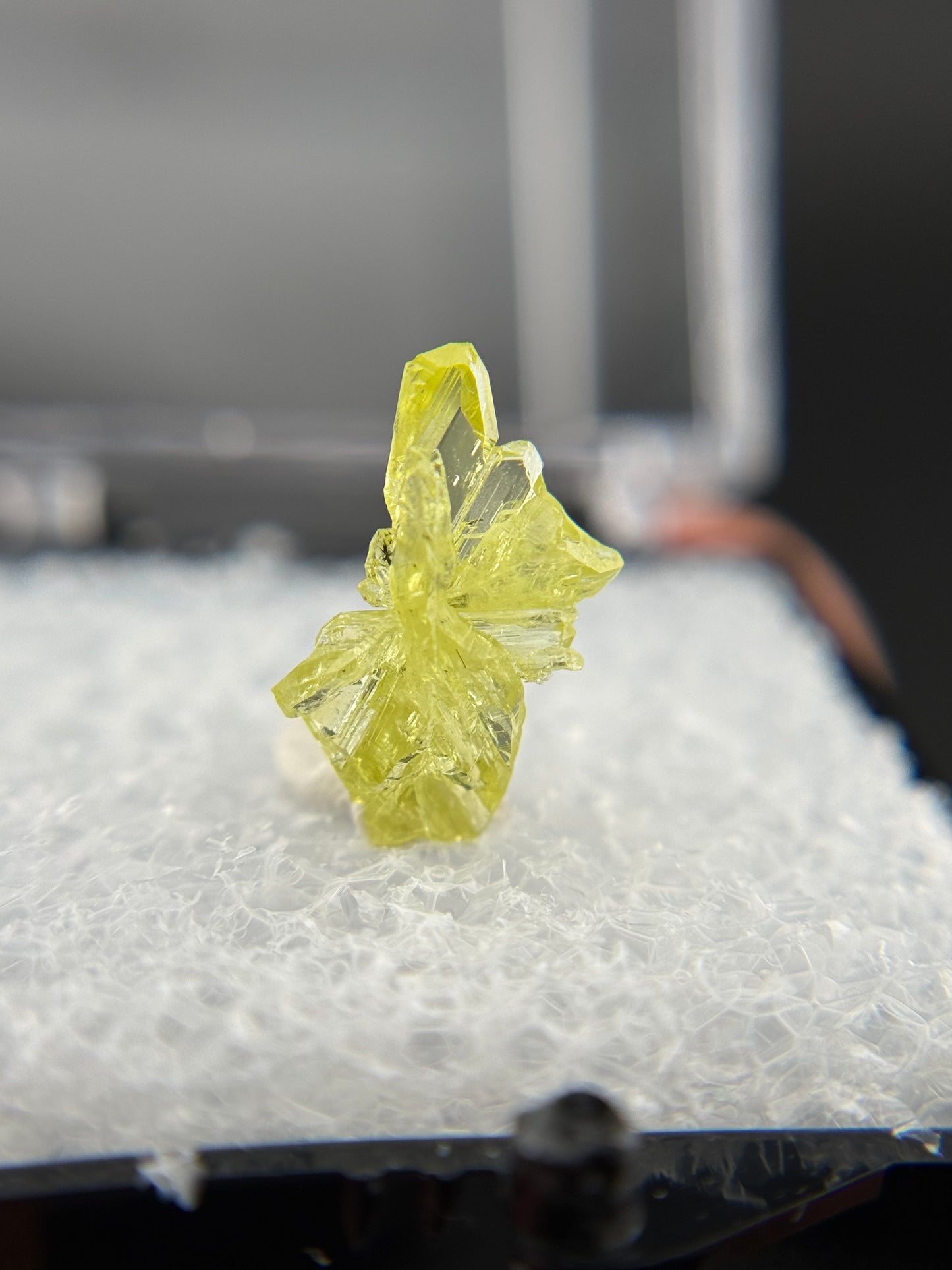 Chrysoberyl, Lac Alaotra, Madagascar