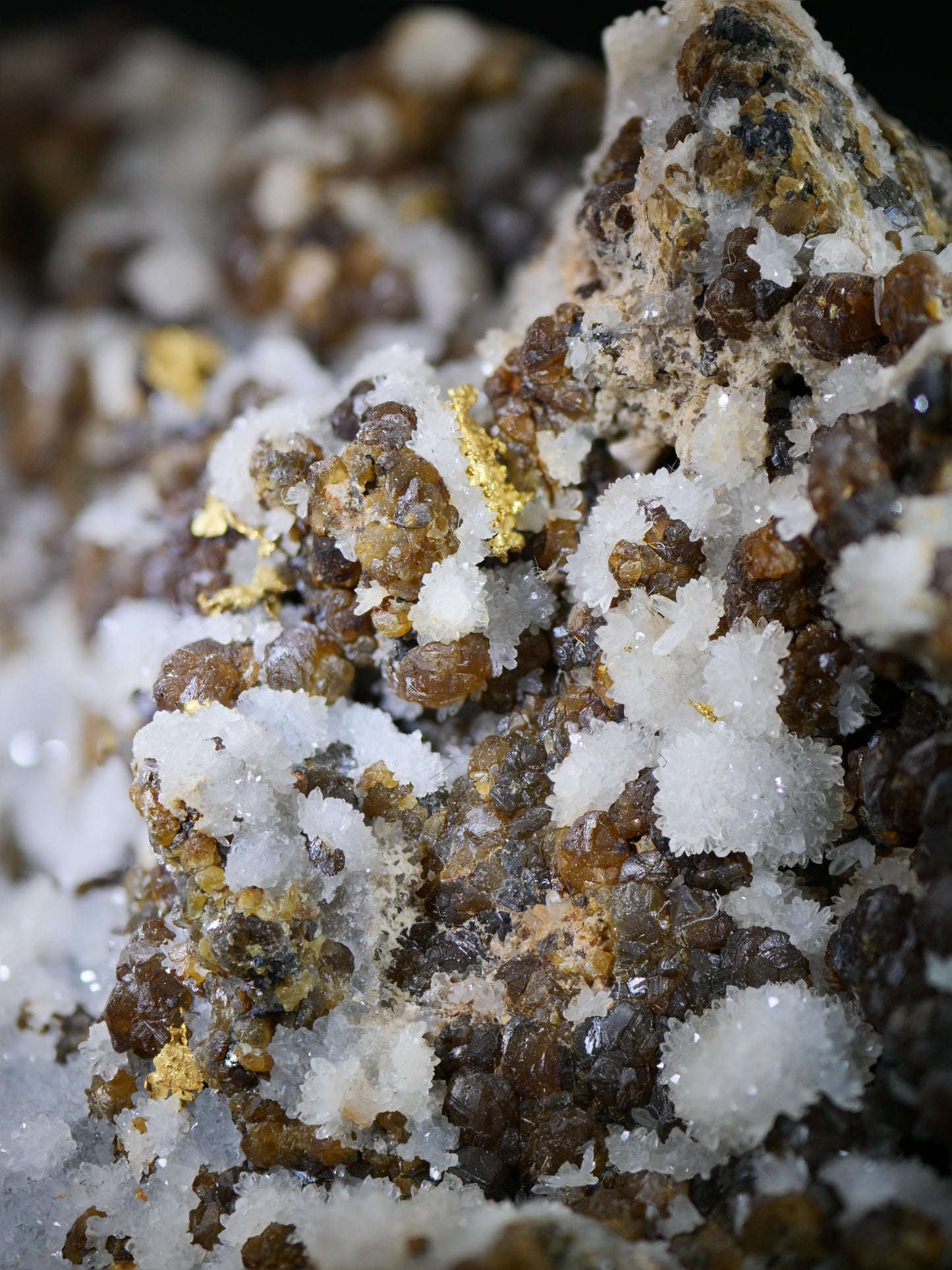 Gold on Sphalerite and Quartz, Rosia Montana, Alba Co., Romania