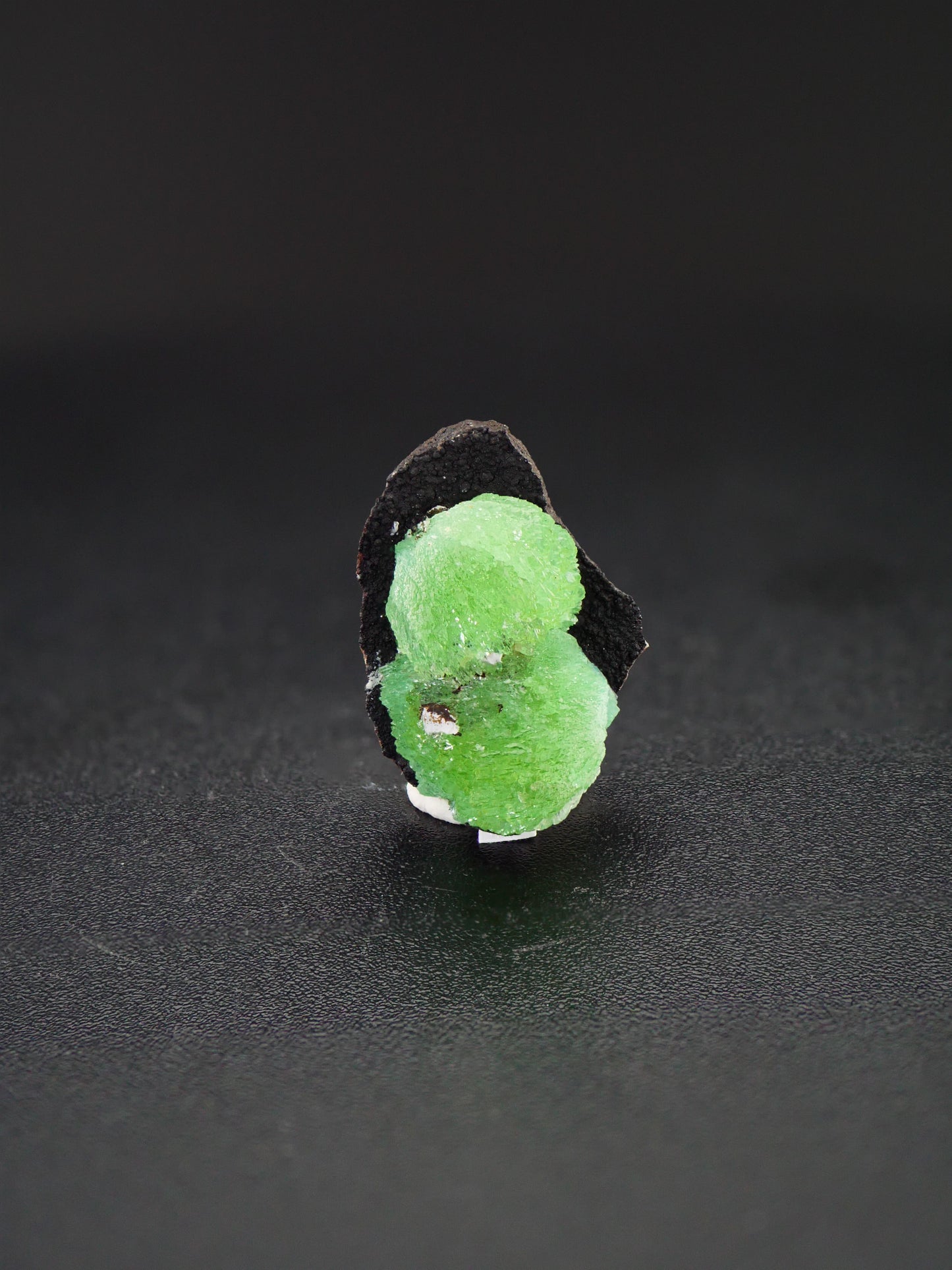 Anapite, Anapa, Taman Peninsula, Russia