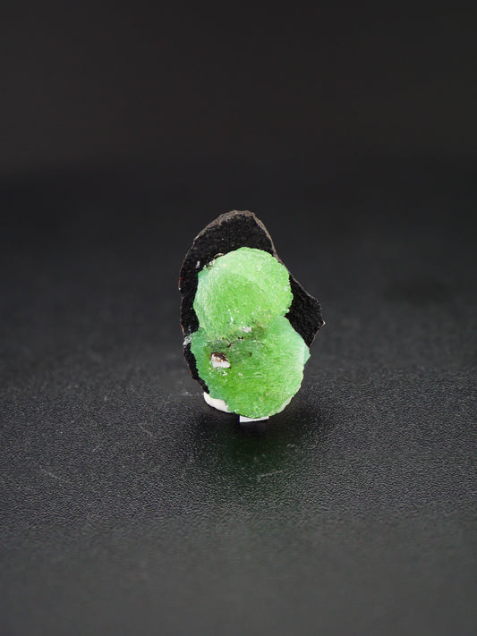 Anapite, Anapa, Taman Peninsula, Russia
