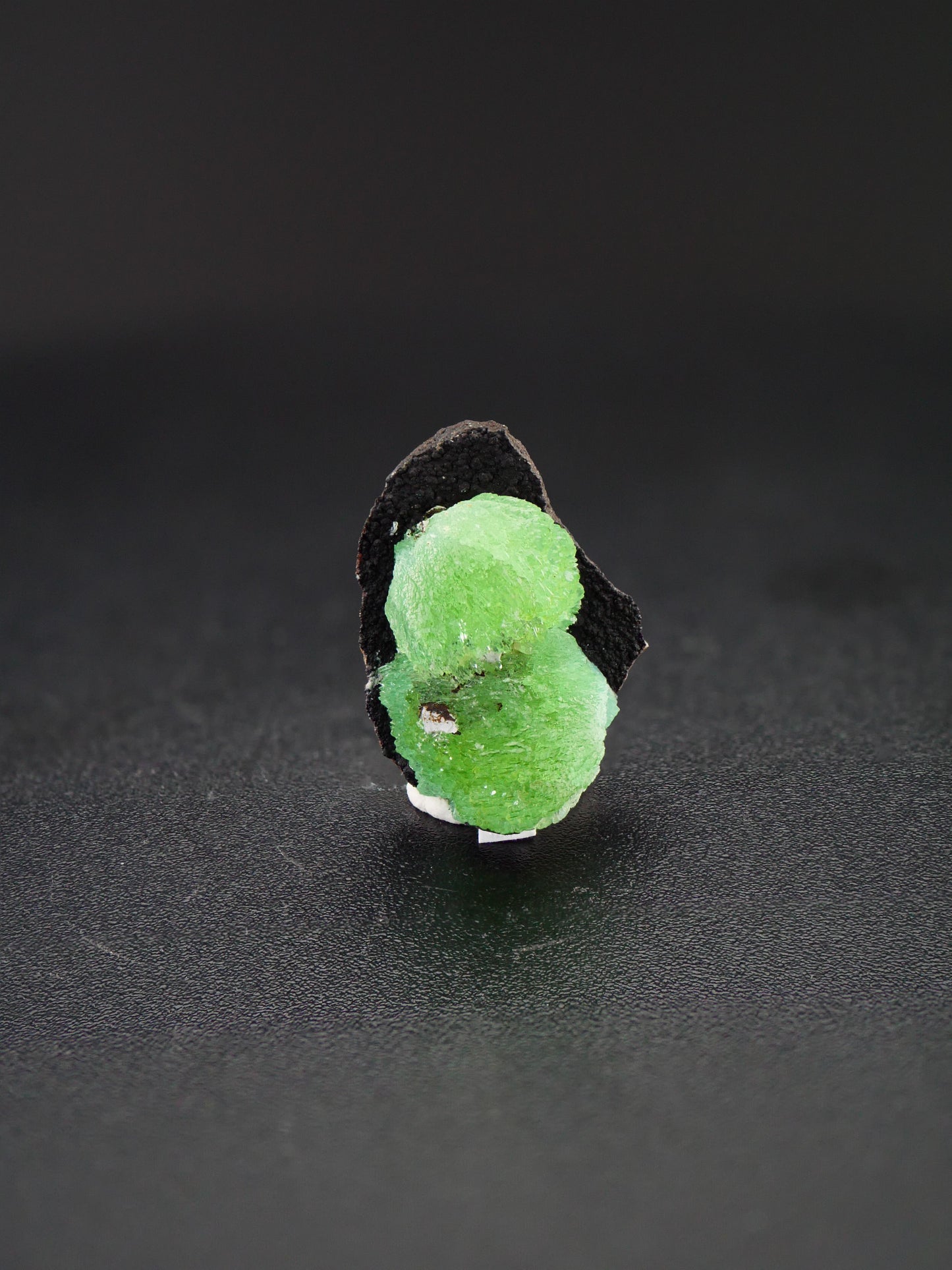 Anapite, Anapa, Taman Peninsula, Russia