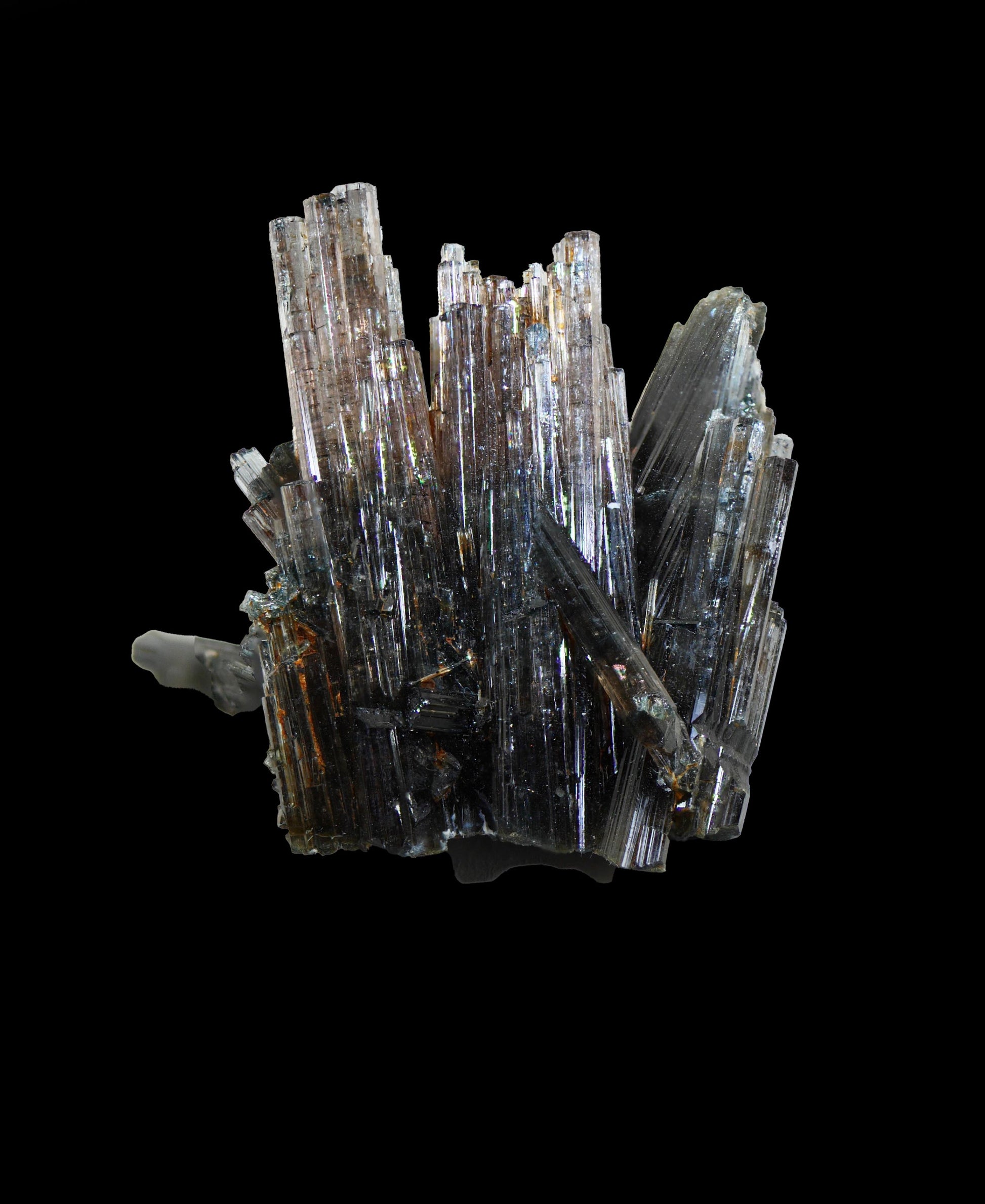 Shown in regular light
