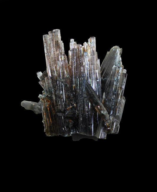 Shown in regular light
