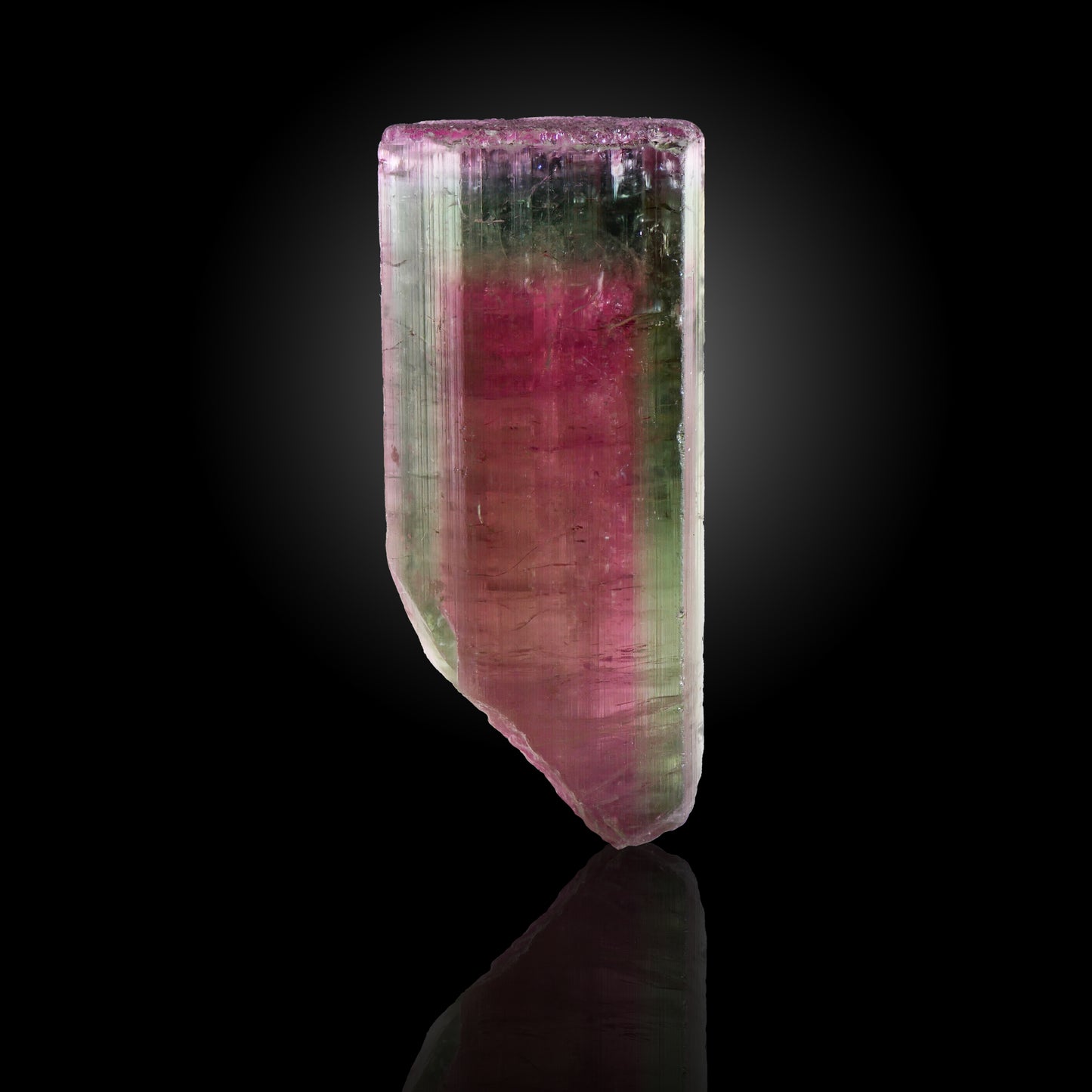 Tourmaline, Aricanga Mine, Minas Gerais, Brazil