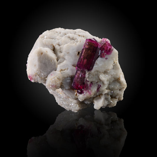 Liddicoatite on Feldspar, Manapa Pegmatite, Betafo, Madagascar