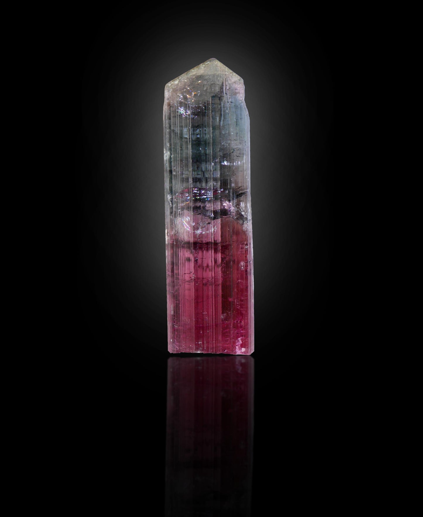 Elbaite Tourmaline, Aricanga Mine, São José da Safira, Minas Gerais, Brazil