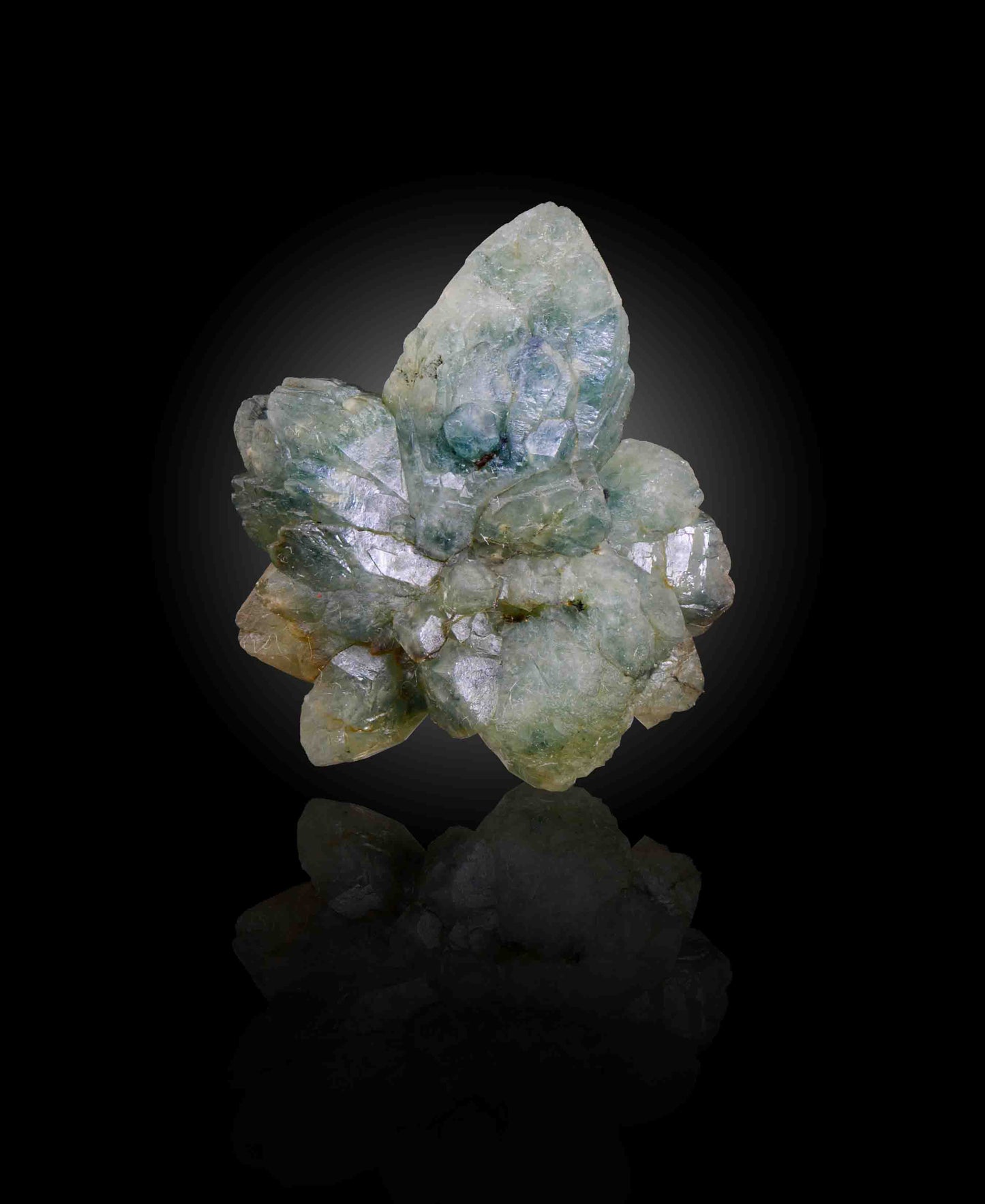 Actinolite in Quartz, Andilamena, Madagascar