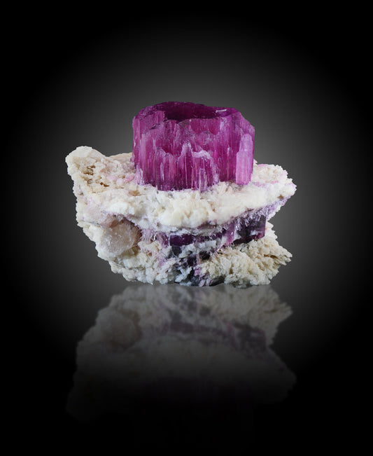Liddicoatite, Antsira, Sahatany, Madagascar