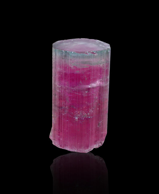 Elbaite Tourmaline, Aricanga Mine, São José da Safira, Minas Gerais, Brazil