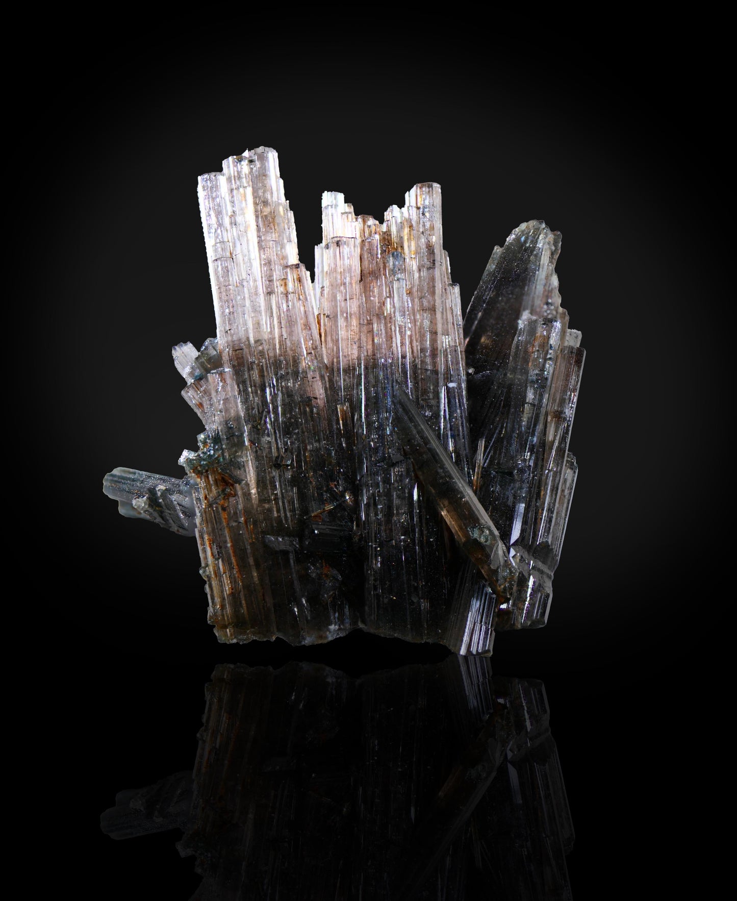 and the opposite polarized light
