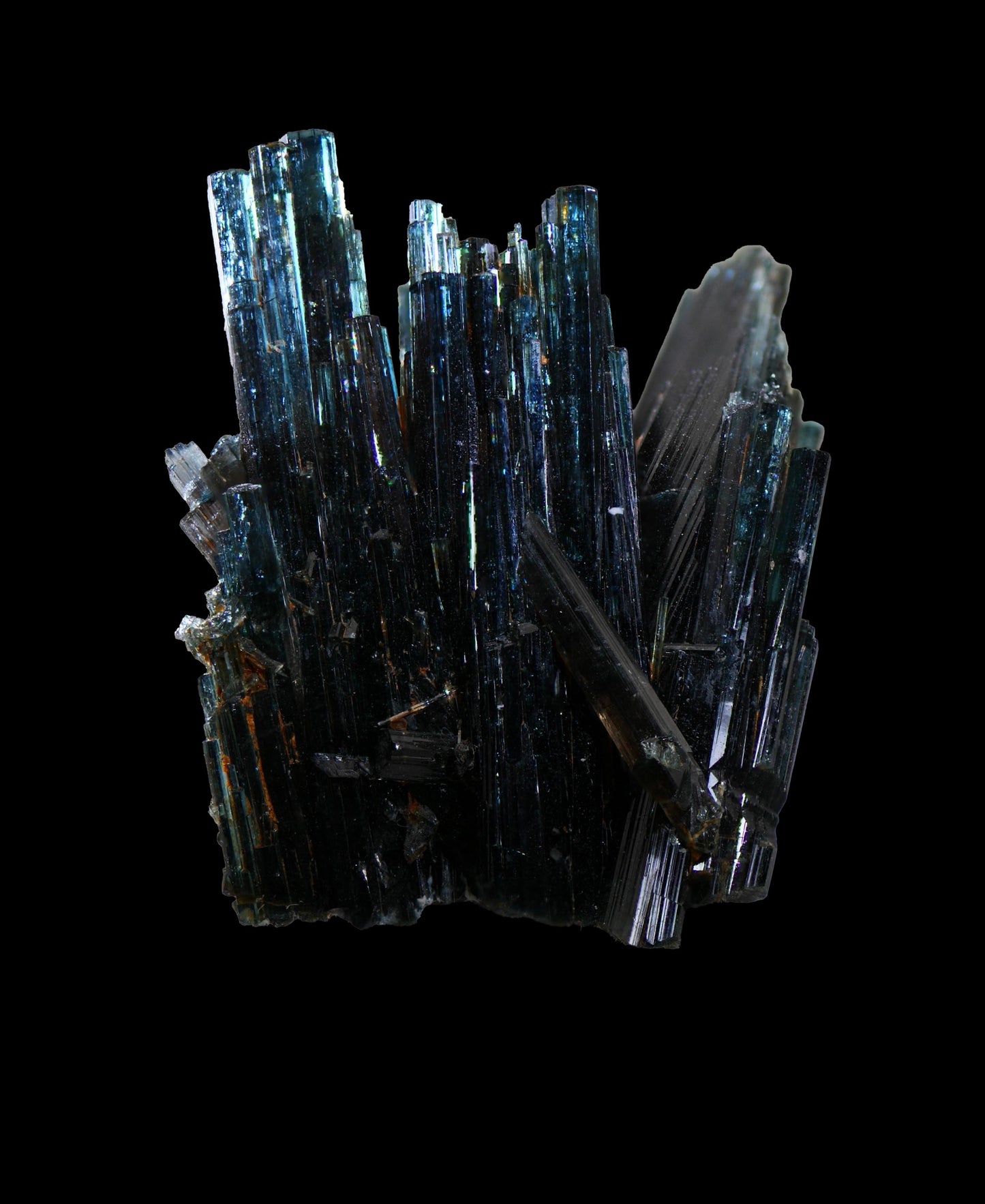 One view with polarized light