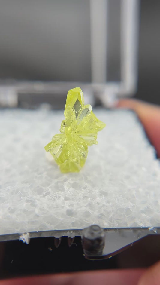 Chrysoberyl, Lac Alaotra, Madagascar