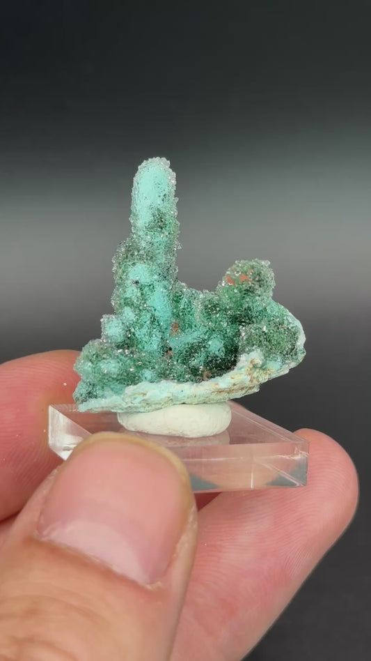 Quartz and Malachite on Chrysocolla Pseudomorph after Baryte, Lupoto Mine, Kakumba, Kipushi Territory, Haut-Katanga, DR Congo
