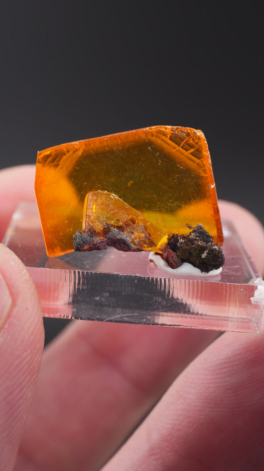 Wulfenite, Erupción Mine, Los Lamentos Mts, Ahumada Mun., Chihuahua, Mexico