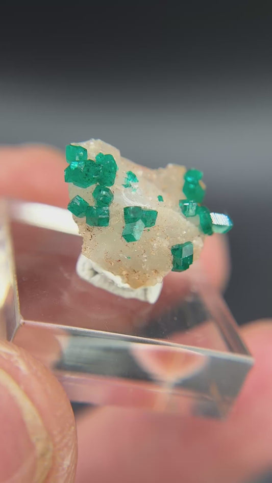 Dioptase on Quartz, Kunene Region, Namibia