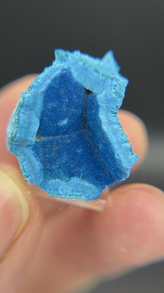 Shattuckite, Kunene Region, Namibia