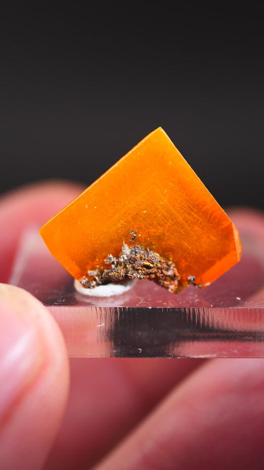 Wulfenite, Erupción Mine, Los Lamentos Mts, Ahumada Mun., Chihuahua, Mexico