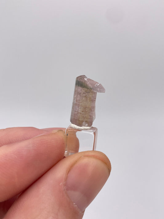 Tourmaline, Pamir Mountains, Tajikistan